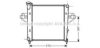 AVA QUALITY COOLING JE2042 Radiator, engine cooling